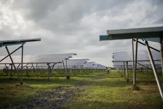 Équipe professionnelle effectuant le nettoyage de panneau solaire